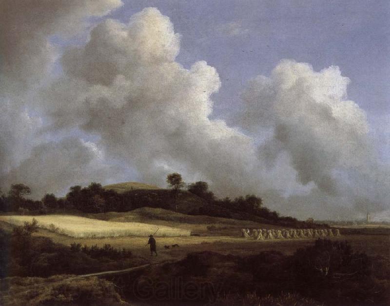 Jacob van Ruisdael View of Grainfields with a Distant town Norge oil painting art